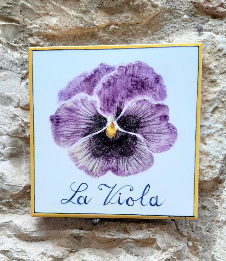 Отель La Viola Di Ассизи Экстерьер фото